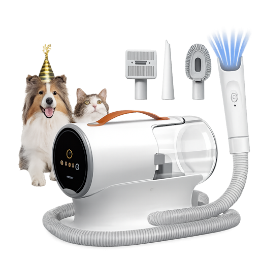 I8sFcfdQJwoS.png